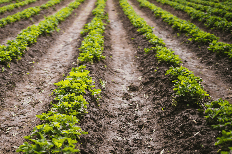 treasury AI dashboard, implementation experts, performance monitoring tools